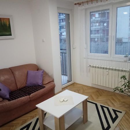 Apartman Ana スボティツァ エクステリア 写真