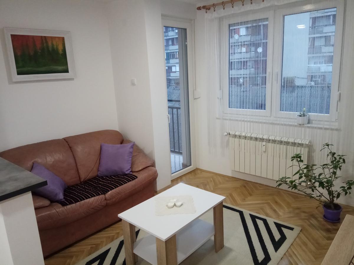 Apartman Ana スボティツァ エクステリア 写真