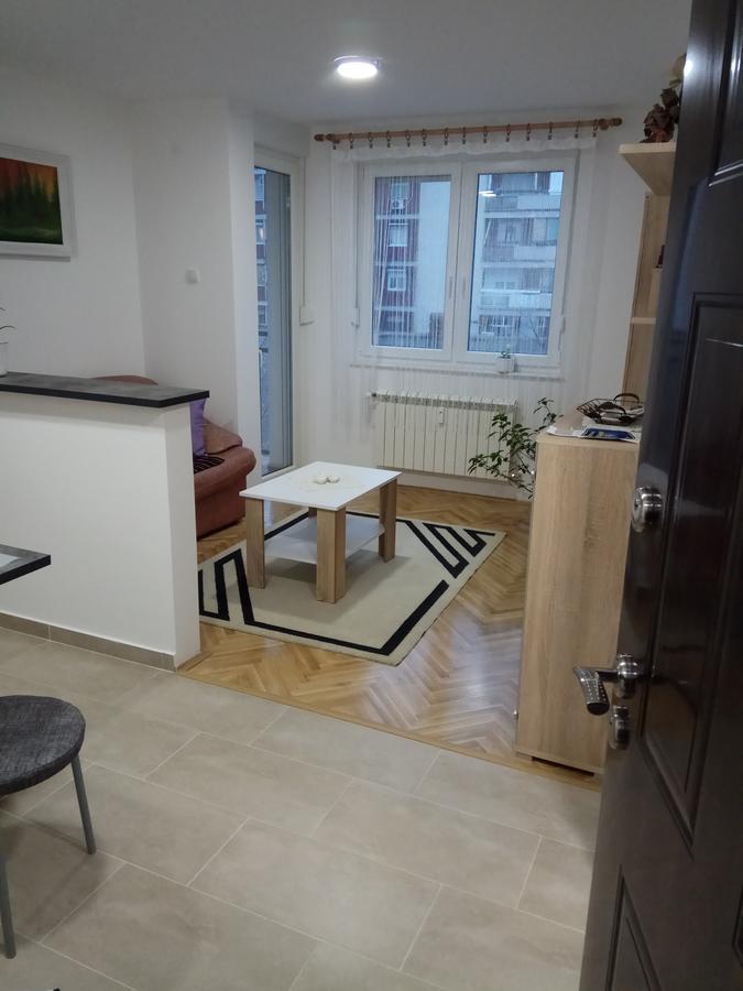 Apartman Ana スボティツァ エクステリア 写真