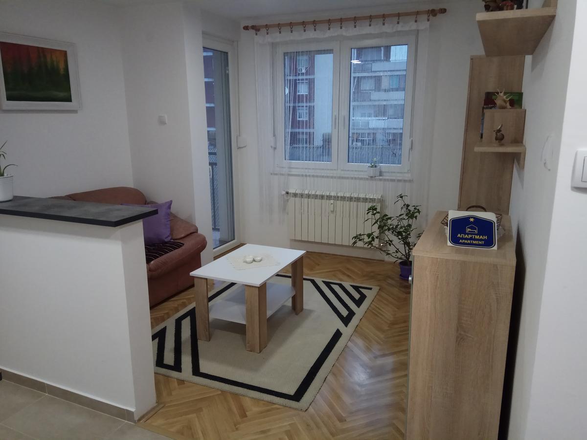Apartman Ana スボティツァ エクステリア 写真