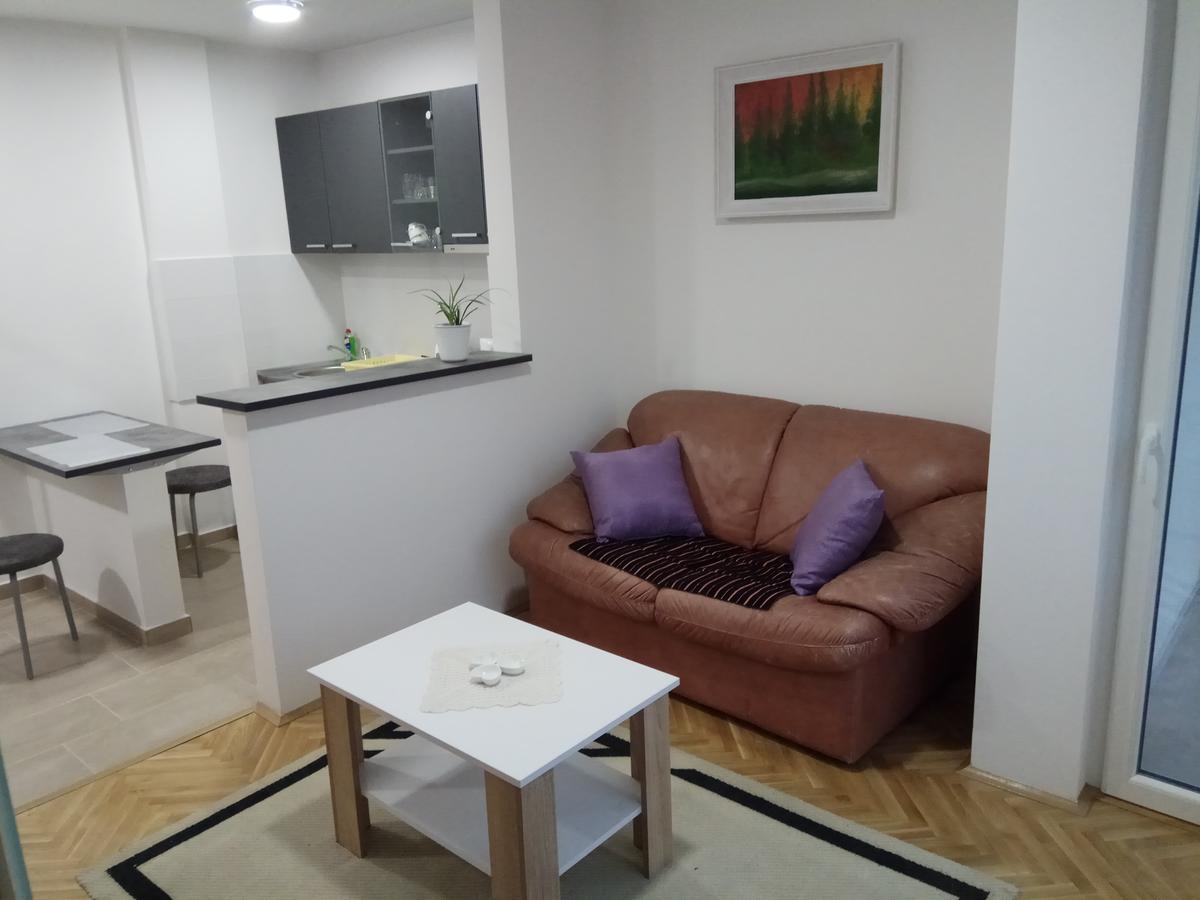 Apartman Ana スボティツァ エクステリア 写真